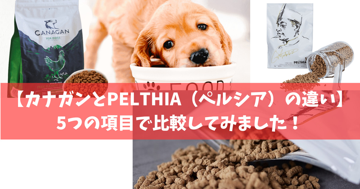 【カナガンとPELTHIA（ペルシア）の違い】5つの項目で比較してみました！